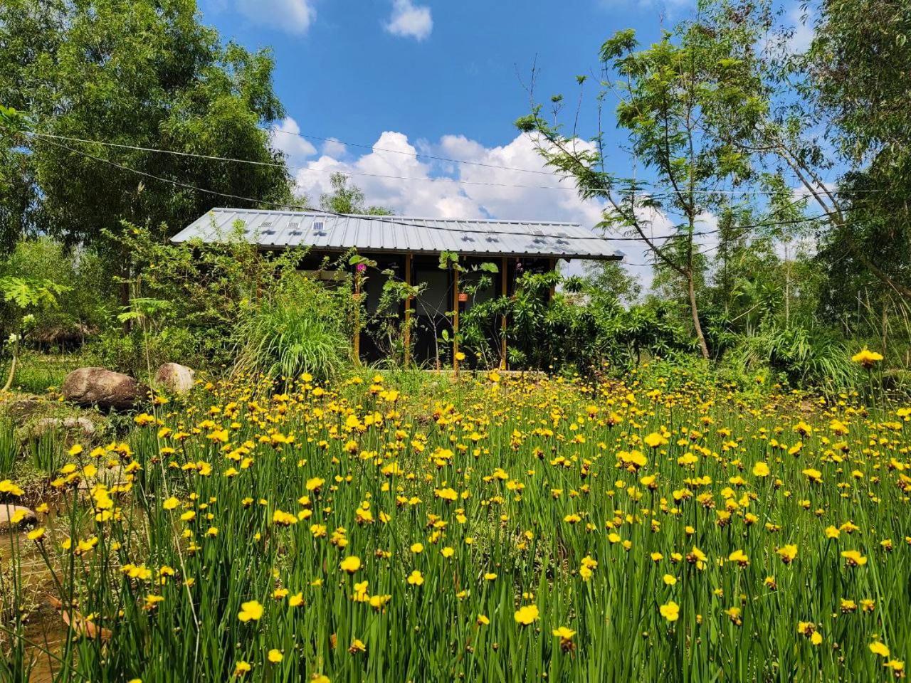 Kampot Camping - Eco Retreat Екстериор снимка